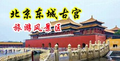 成人操美女？中国北京-东城古宫旅游风景区