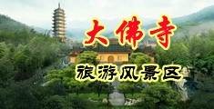 寡妇淫水B视频中国浙江-新昌大佛寺旅游风景区